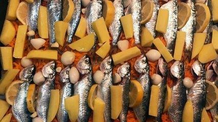 Jak gotować chinkop? Najprostszy sposób na ugotowanie ryby chinakop! Przepis na pieczony chinkop