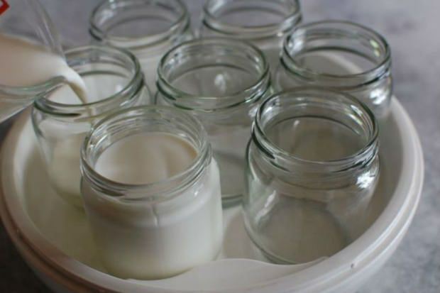 jogurt z wiejskiego mleka