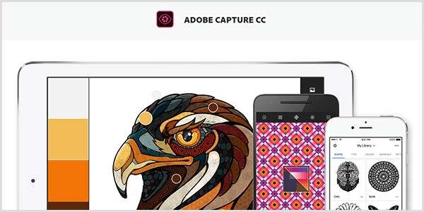 Adobe Capture tworzy paletę z obrazu przechwyconego za pomocą urządzenia mobilnego. Witryna przedstawia ilustrację ptaka i paletę utworzoną z ilustracji, która obejmuje jasnoszary, żółty, pomarańczowy i czerwonawo-brązowy.