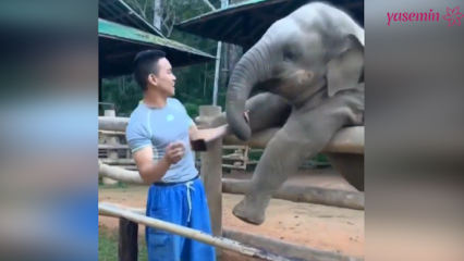 Te chwile między słoniem a jego opiekunem!