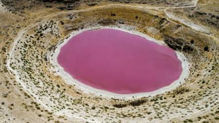 Kolor jeziora Meyil Obruk zmienił się na różowy!