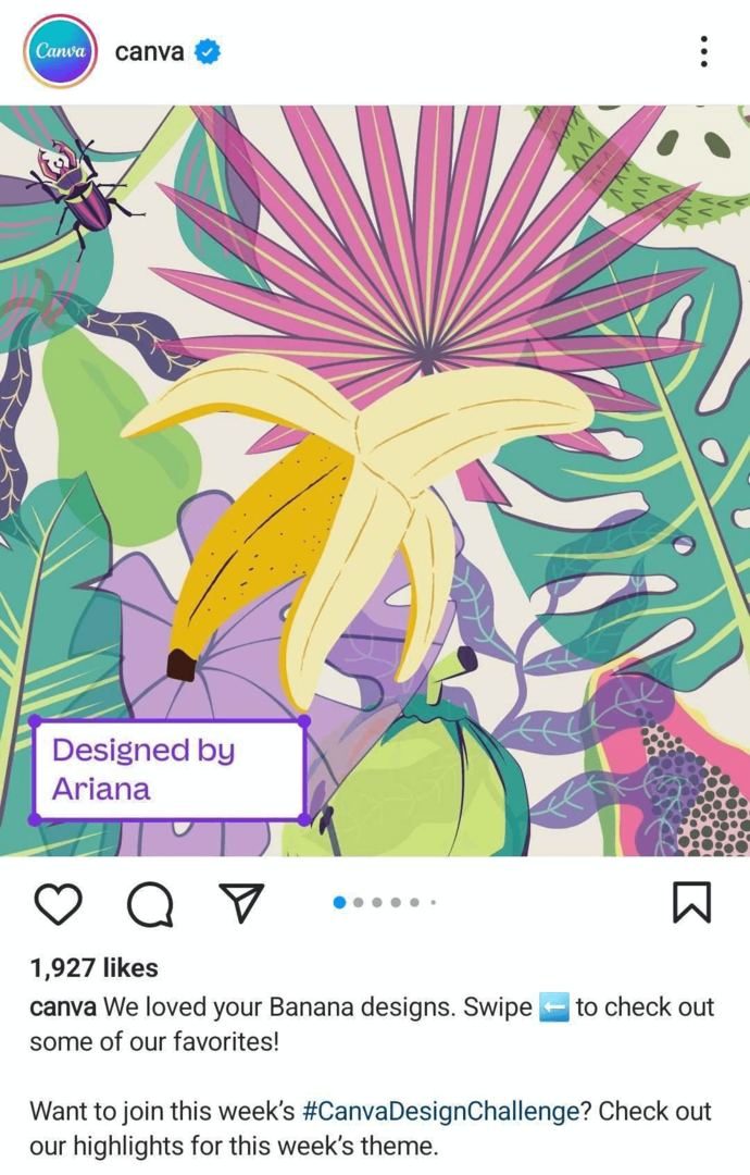 wizerunek Instagrama UGC na profilu biznesowym