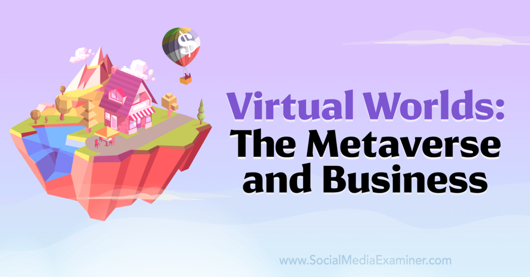 Wirtualne światy: ekspert Metaverse i Business-Social Media