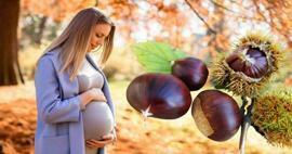 Czy kobiety w ciąży mogą jeść kasztany? Korzyści z jedzenia kasztanów w czasie ciąży dla dziecka i matki