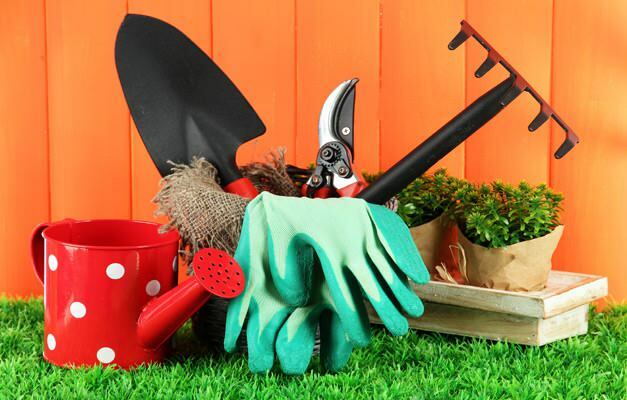 jak posprzątać ogród