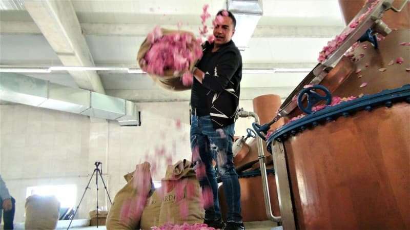 Berdan Mardini założył fabrykę olejków różanych w swoim rodzinnym mieście!