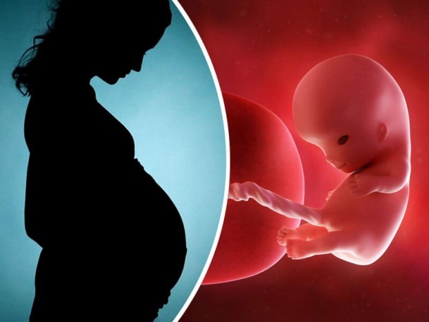 Jak rodzą się nienarodzone dzieci? Proces porodu krok po kroku ...