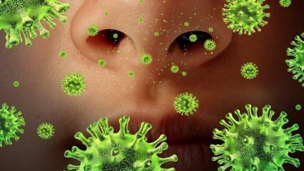 Ponowne pojawienie się: co to jest wirus Sars i jakie są jego objawy? W jaki sposób przenoszony jest wirus Sars?
