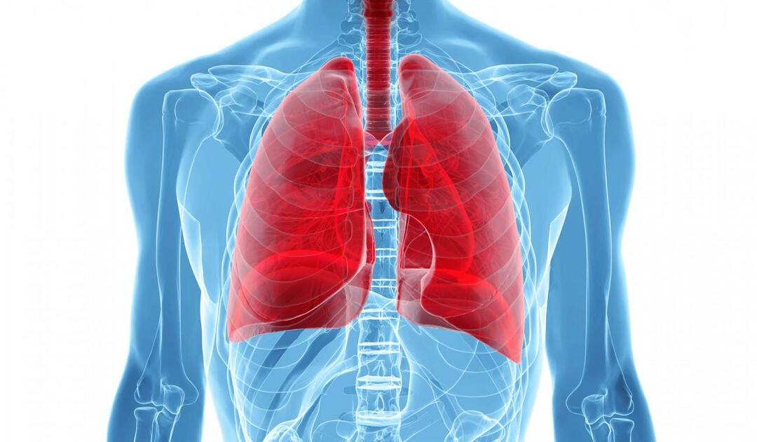 Co to jest zespół białych płuc i jakie są jego objawy? Jakie jest leczenie zespołu białych płuc?
