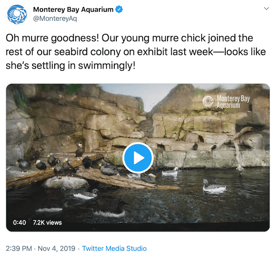 tweet z Monterey Bay Aquarium jako przykład głosu marki w mediach społecznościowych