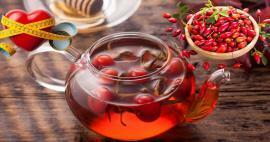 Czy herbata z dzikiej róży osłabia? Czy herbata z dzikiej róży działa na jelita?