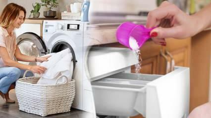 Jaki jest najlepszy detergent do białych ubrań? Najlepsze rekomendacje dotyczące detergentów do prania! Najlepszy proszek do prania