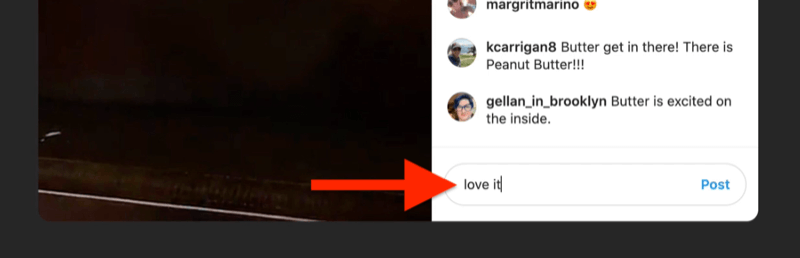 xscreenshot przykład na żywo z Instagrama z podświetlonym polem komentarza i wypełnionym przez widza mówiącym „kocham to”