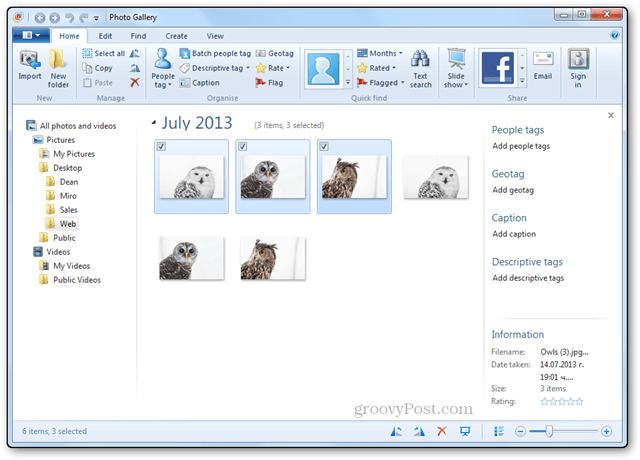 Zmień rozmiar wielu zdjęć za pomocą Galerii fotografii usługi Windows Live
