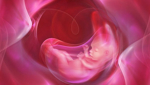 Co to jest Placenta Previa? Jak dbać o pępowinę u niemowląt? Jeśli pępowina jest długa ...