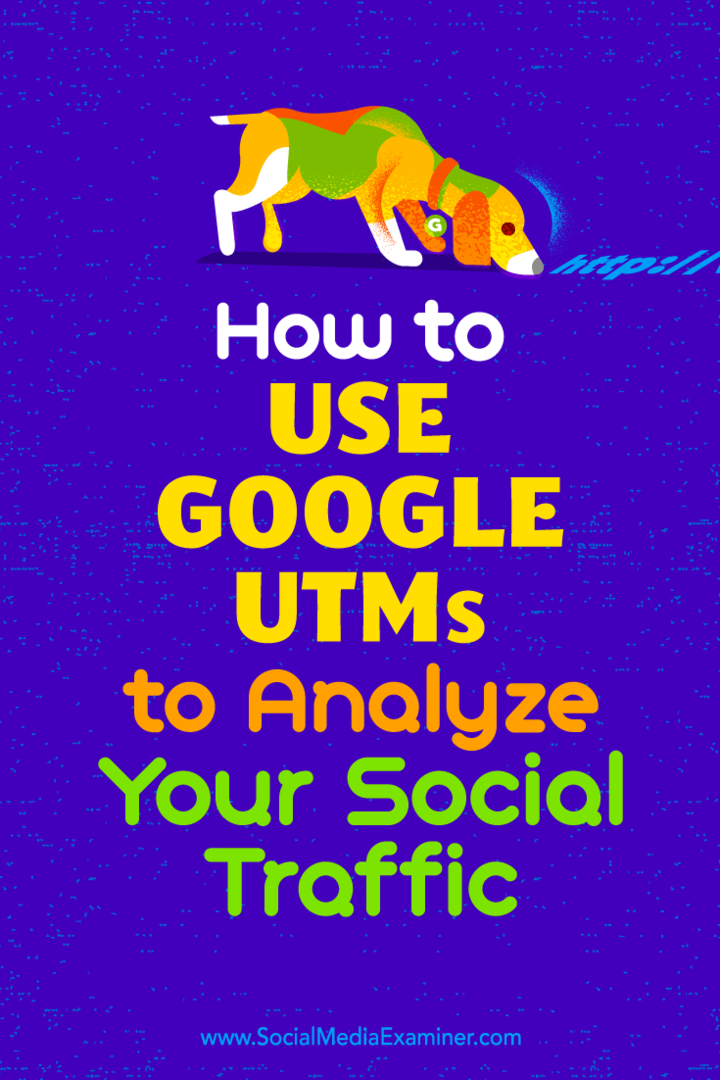 Jak używać Google UTM do analizowania ruchu w mediach społecznościowych autorstwa Tammy Cannon w Social Media Examiner.