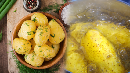 Jak gotuje się ziemniaki? Porady z gotowanych ziemniaków