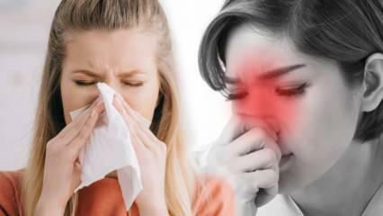 Co to jest alergiczny nieżyt nosa? Jakie są objawy alergicznego nieżytu nosa? Czy istnieje leczenie alergicznego nieżytu nosa?