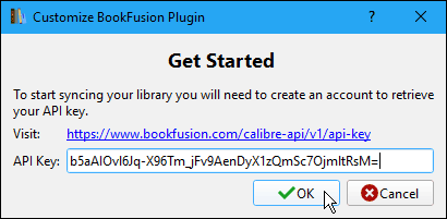 Wprowadź klucz API w oknie dialogowym Dostosuj wtyczkę BookFusion w Calibre