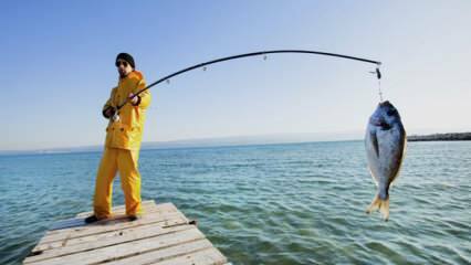 Jak łowić ryby? Jakie są sztuczki łowienia na wędkę?