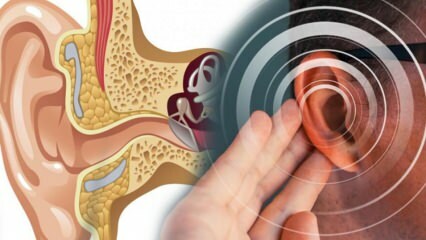 Choroby ucha: co powoduje menier? Jakie są objawy Meniere? Czy jest lekarstwo?