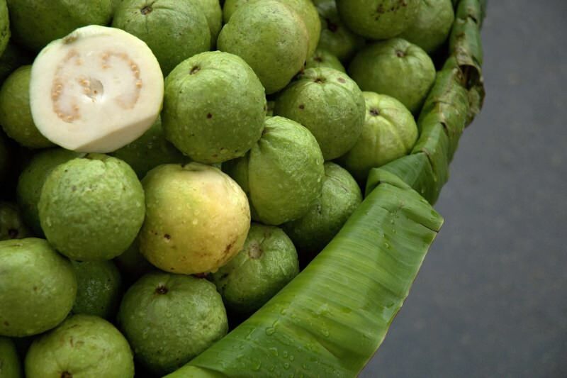 niedojrzały owoc guawany 
