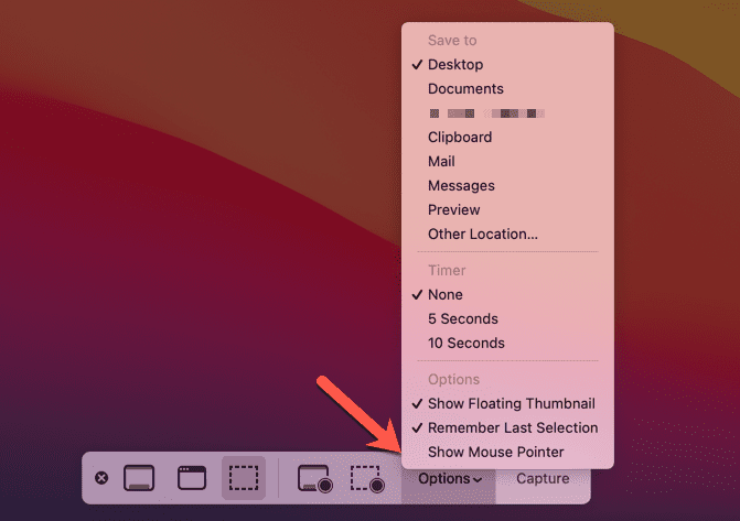 Opcje paska zrzutu ekranu komputera Mac
