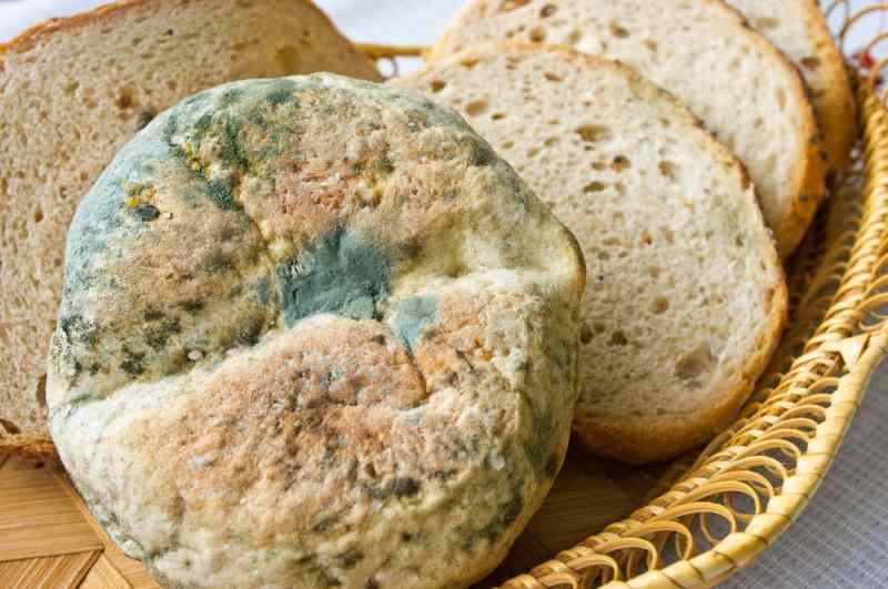 Sposoby zapobiegania czerstwieniu i pleśnianiu chleba