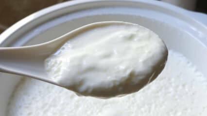 Jak łatwo zaparzyć jogurt? Robienie jogurtu jak kamień w domu! Zaleta jogurtu domowego