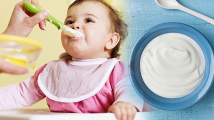 Jak zrobić jogurt dla niemowląt? Domowe przepisy na jogurt owocowy dla niemowląt