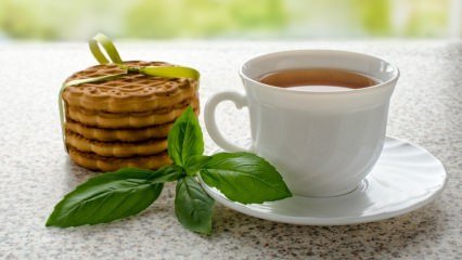 Jakie są zalety bazylii? Gdzie jest używana bazylia? Jak zrobić herbatę bazyliową?