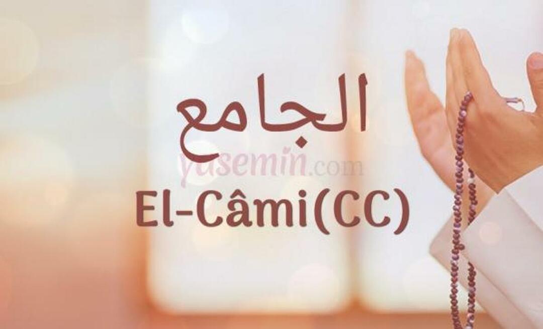 Co oznacza Al-Cami (cc)? Jakie są zalety Al-Jami (cc)?