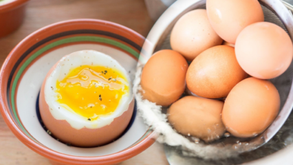 Jakie są zalety jajka na niskim poziomie? Jeśli jesz dwa jajka na twardo dziennie ...