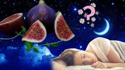 Co to znaczy widzieć drzewo figowe we śnie? Co oznacza sen o jedzeniu fig? Zrywanie fig z drzewa we śnie