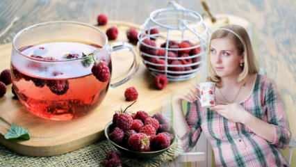 Herbata ułatwiająca poród: Malina! Korzyści z herbaty malinowej dla kobiet w ciąży