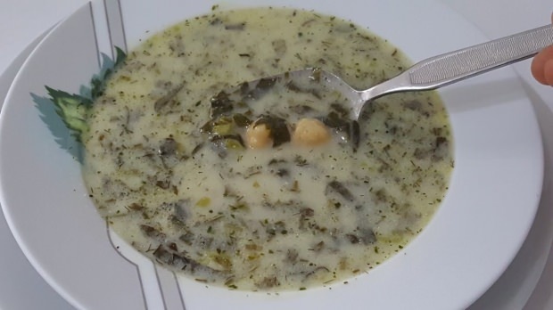 zupa toyga