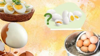 Dieta z gotowanymi jajkami! Czy jajko sprawia, że ​​jesteś pełny? 12kg w tydzień 