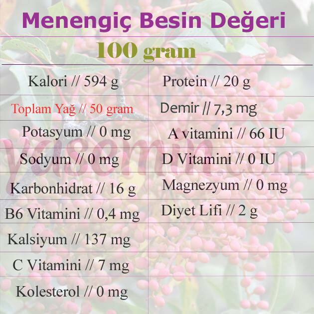 wartość odżywcza menengiç 
