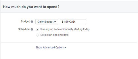 opcje budżetowe dla reklam na Facebooku