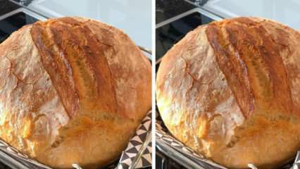 Jak zrobić chrupiący wiejski chleb? Najzdrowszy przepis na chleb wiejski