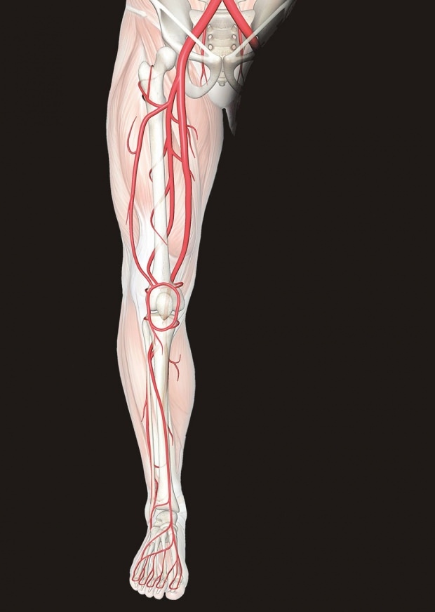 Co powoduje ból nóg? Które choroby wykluczają ból nóg? Jak przechodzi ból nóg?