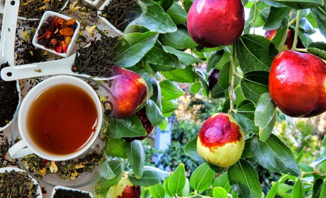 Jakie zalety ma herbata jujube polecana przez Ibn Sina? Na co pomaga herbata jujube?