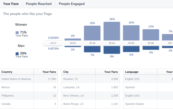 Facebook Insights dane demograficzne odbiorców