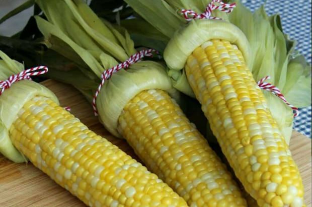 Jakie są zalety kukurydzy