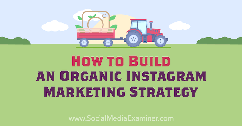 Jak zbudować organiczną strategię marketingową na Instagramie autorstwa Corinny Keefe w Social Media Examiner.