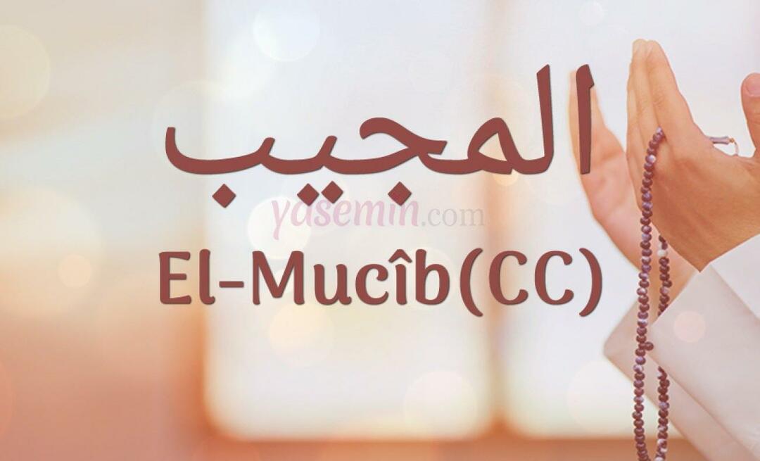 Co oznacza al-Mujib (c.c.)? Jakie są zalety imienia Al-Mujib? Esmaul Husna Al-Mujib...
