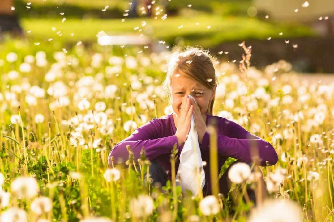Na co zwrócić uwagę, aby chronić dzieci przed alergiami sezonowymi