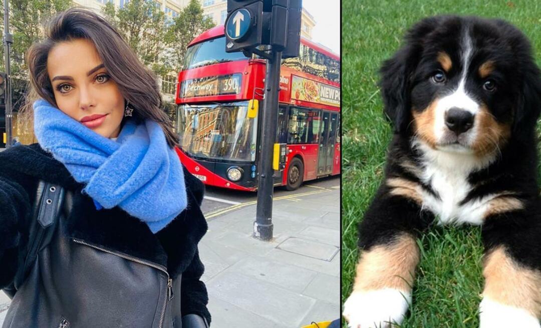 Aktorka Tuvana Türkay oddała życie za swojego psa!