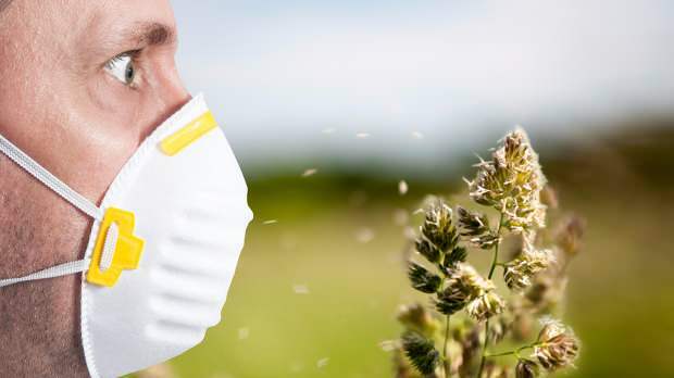 Wiosenną alergię wywołują pyłki, zwierzęta domowe, podwyższona temperatura i kurz
