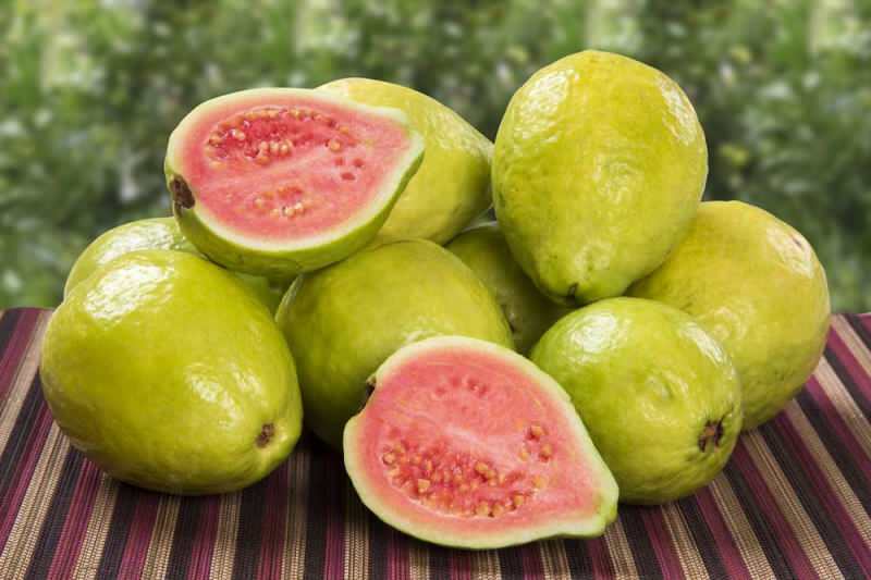 Co to jest owoc guawy? Jak jeść owoc guawy i jakie są jego zalety?